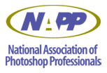 NAPP Logo