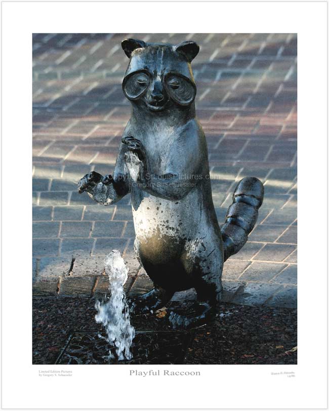 Playful Raccoon