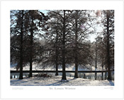 St. Louis Winter - Plate 2